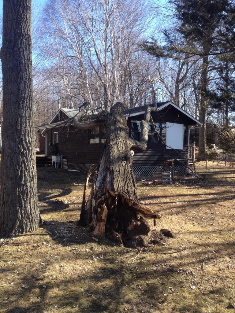 Storm Damage Kingston