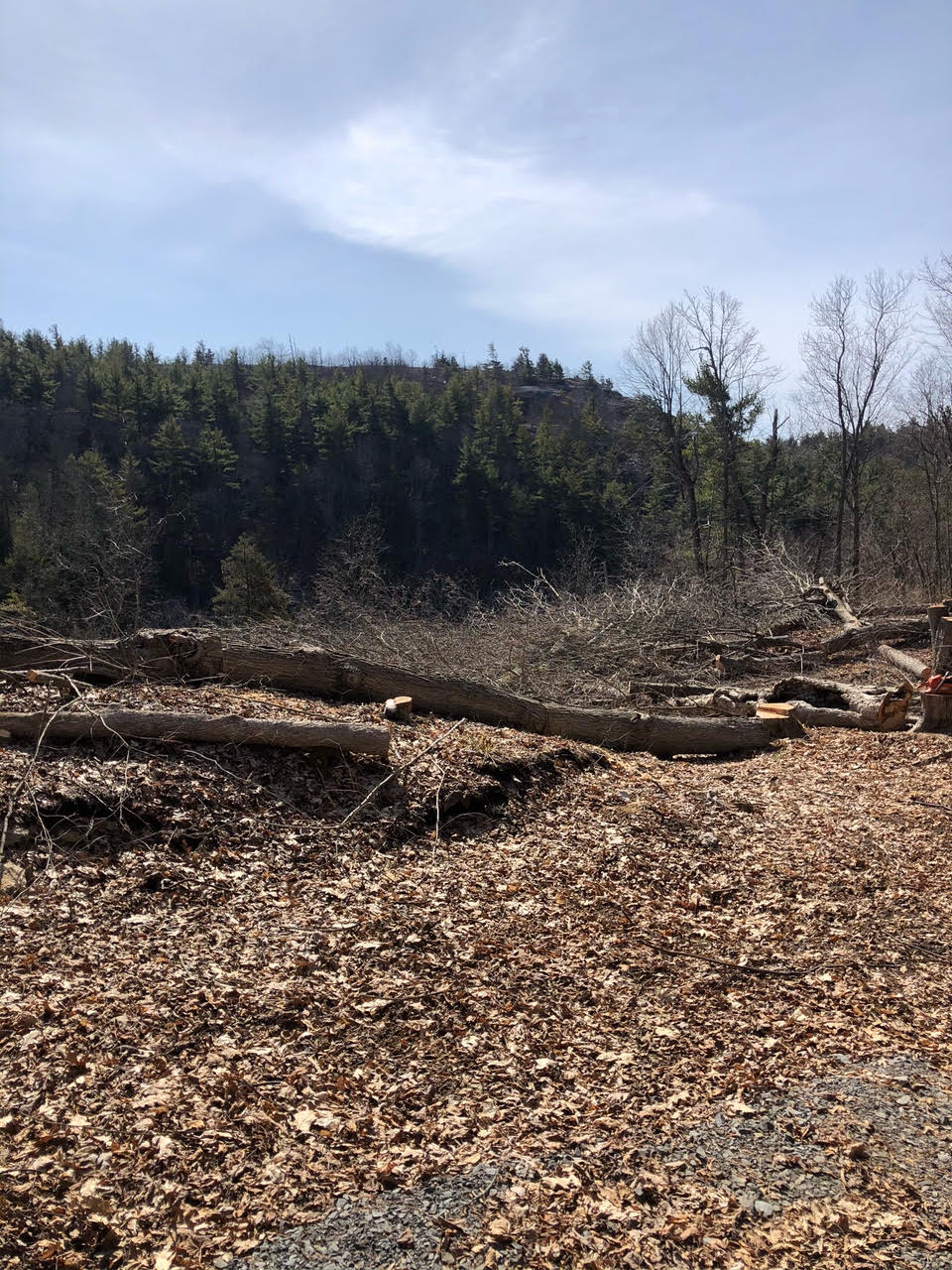 Land Clearing Kingston