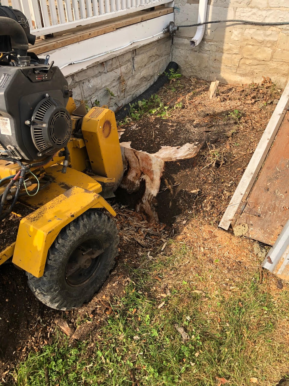 Stump Removal Kingston